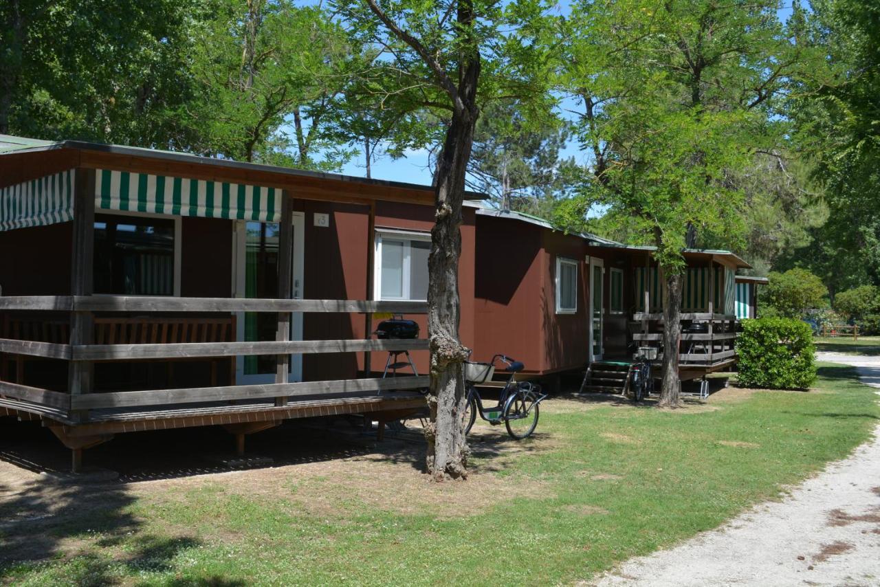 Camping Village Capalonga بيبيوني المظهر الخارجي الصورة