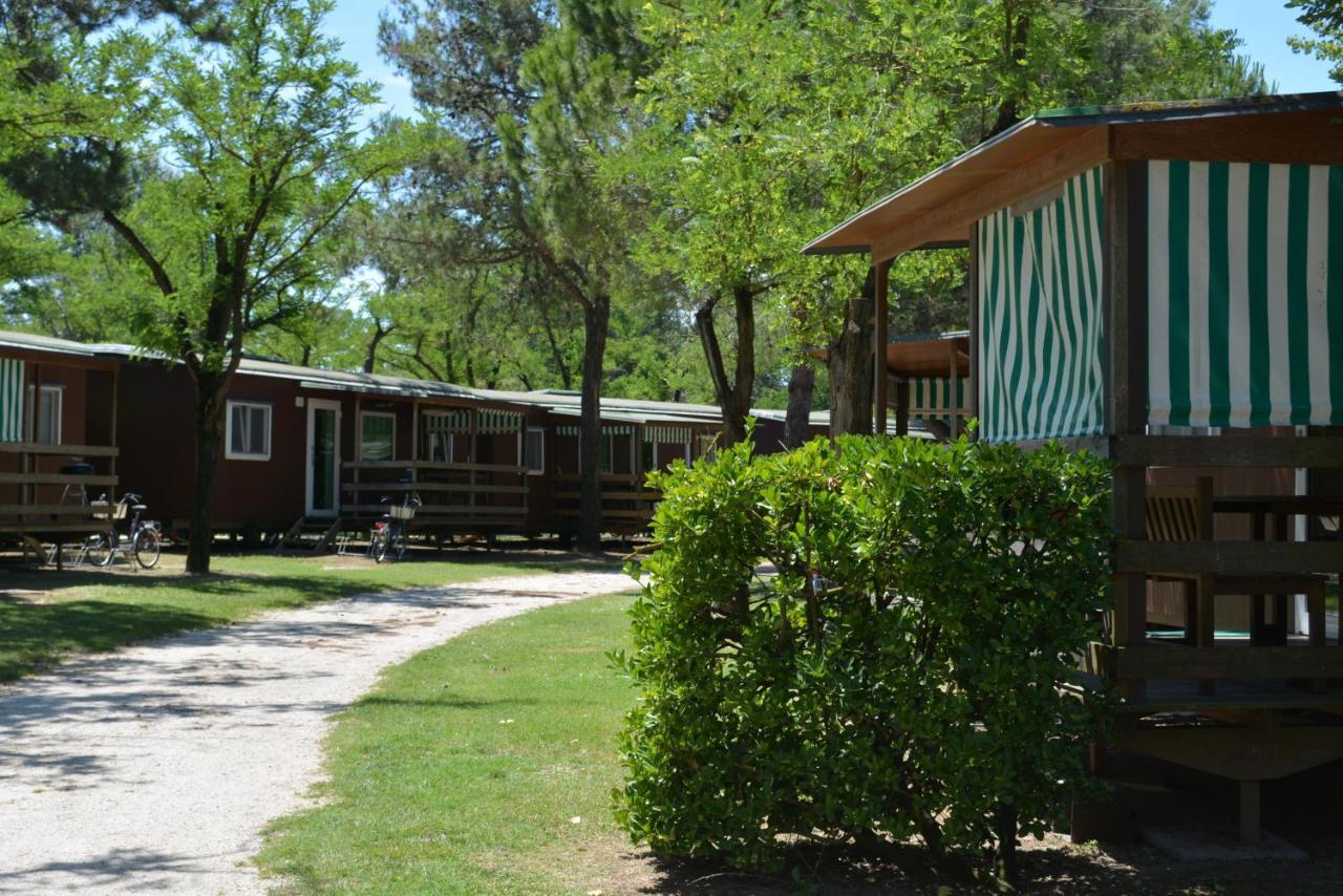 Camping Village Capalonga بيبيوني المظهر الخارجي الصورة