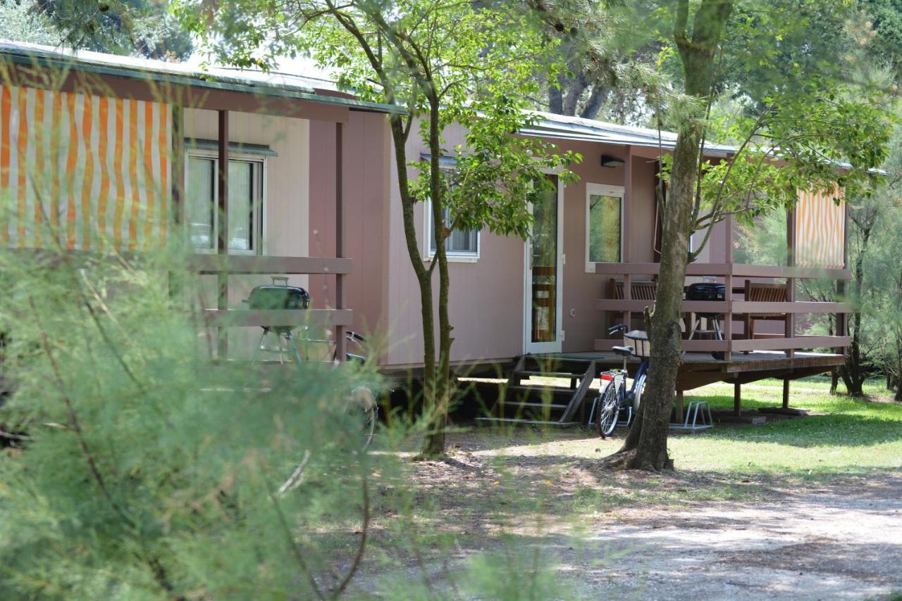 Camping Village Capalonga بيبيوني المظهر الخارجي الصورة