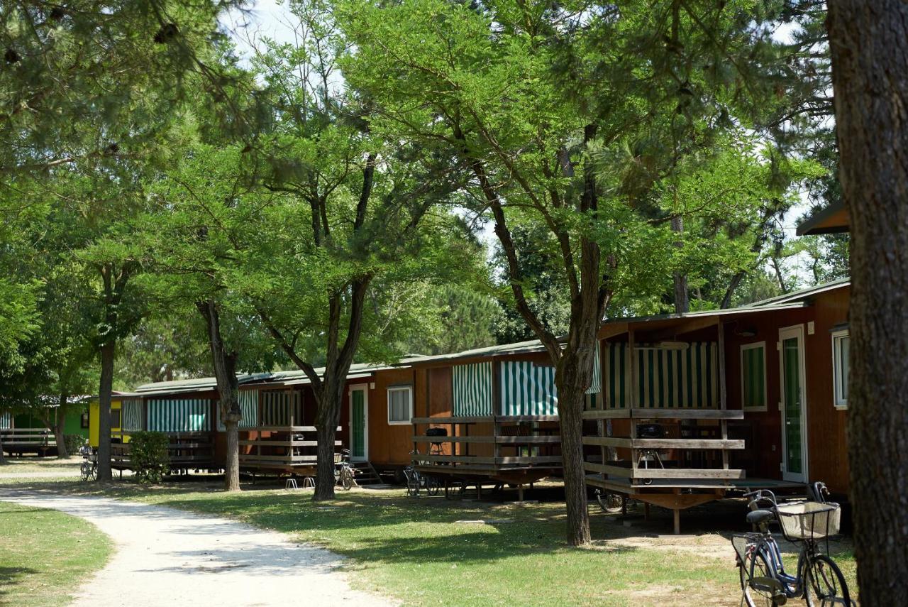 Camping Village Capalonga بيبيوني المظهر الخارجي الصورة